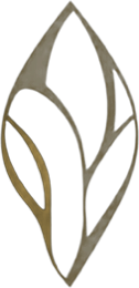 Olea